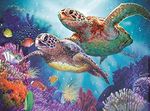 turtle.JPG